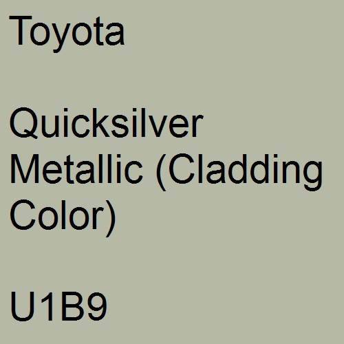 Toyota, Quicksilver Metallic (Cladding Color), U1B9.